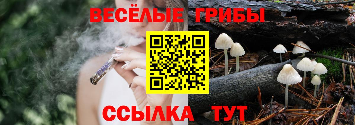 Псилоцибиновые грибы Magic Shrooms  Вход с VPN  Черняховск  Галлюциногенные грибы мицелий 